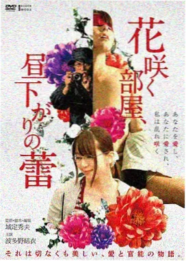 雾中航线电影海报